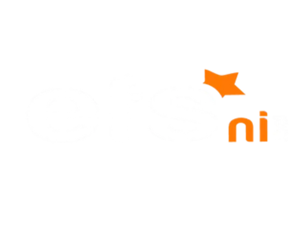 EFS NI ltd