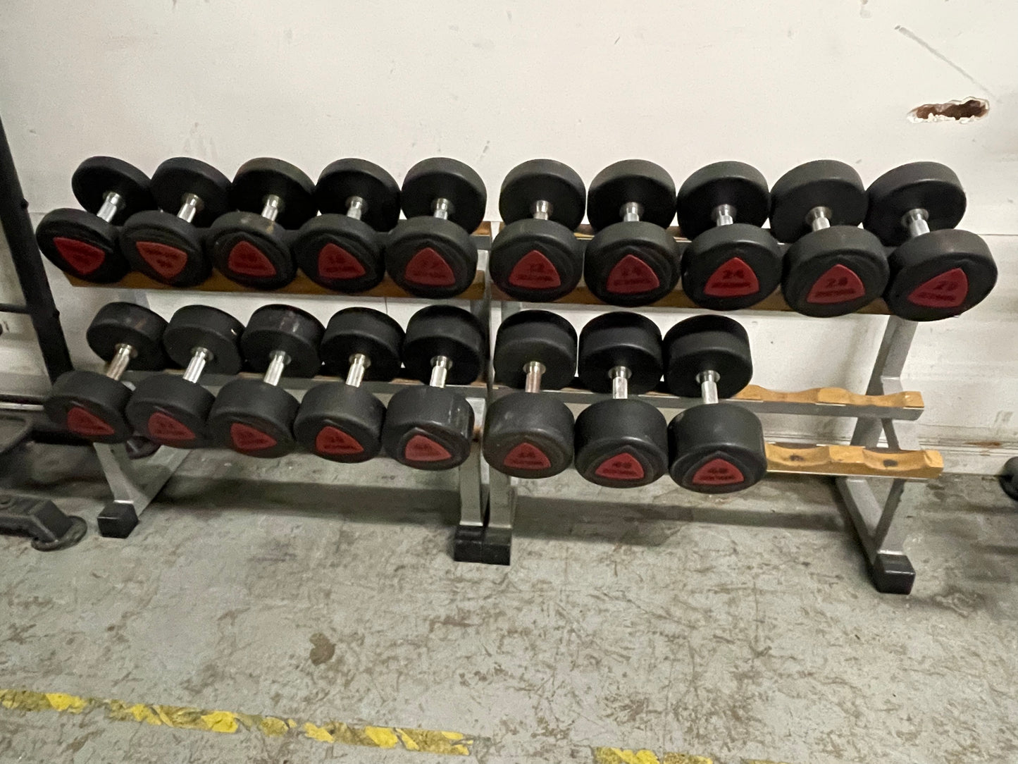 Ziva Polyurathane Dumbbells + Racks