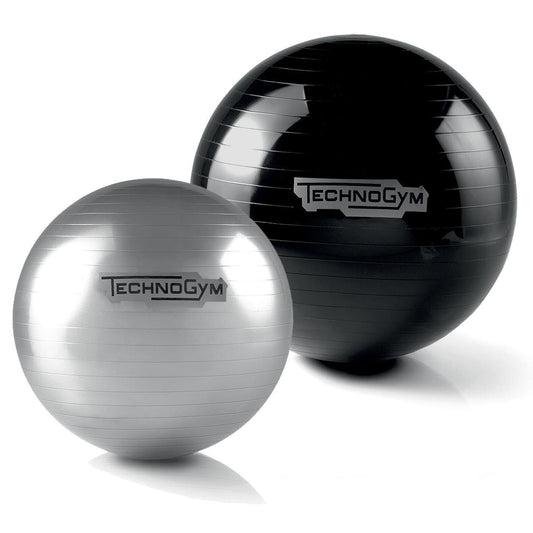 Technogym wellness balls