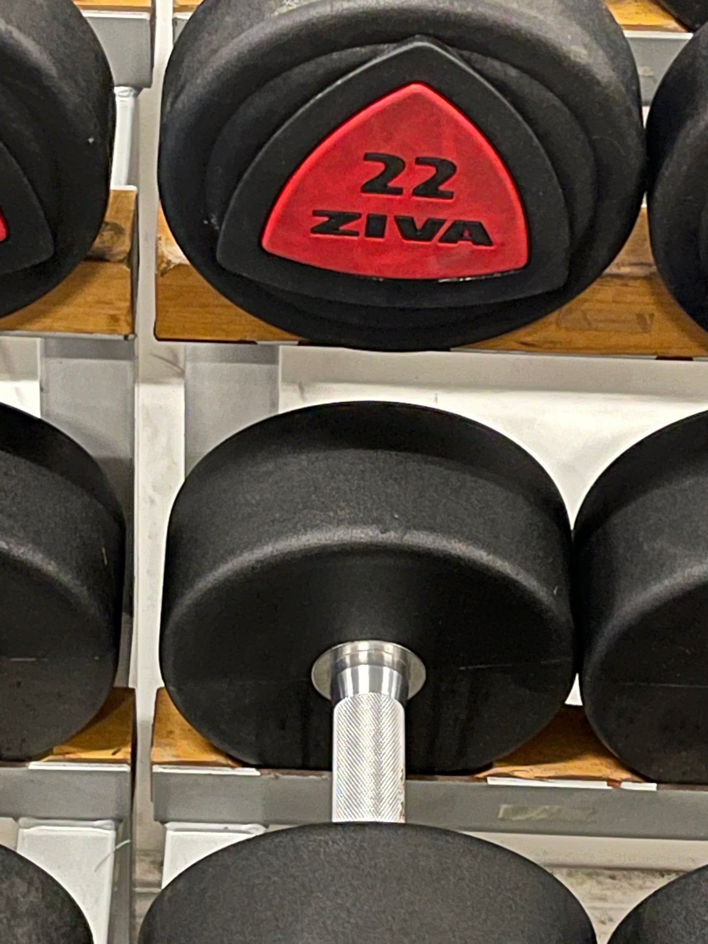 Ziva Polyurathane Dumbbells + Racks