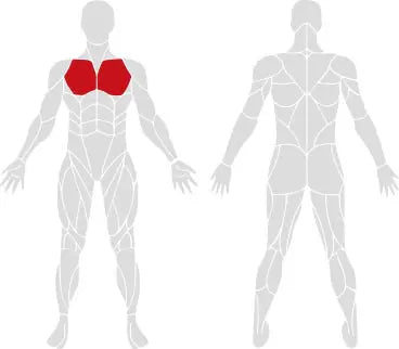 Iso-Lateral Chest Press - Exigo